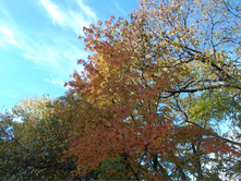 DSCF0916.jpg
