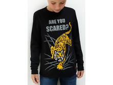 20110100111   Terni         (      ).jpg