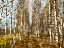 P 20171021 140601 HDR.jpg