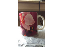 IMG 20171015 113730.jpg