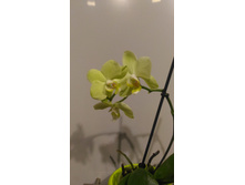 P 20170926 195947.jpg