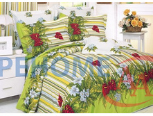 ��� ���� ����� ������(B10).jpg