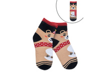 ����� �������� �������.jpg