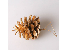 ����� ��������� ������ 35�.jpg