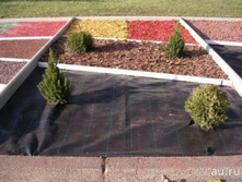 �������� ������ (������).jpg