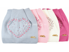 ���� ������