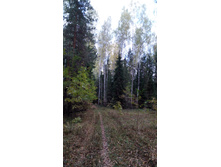 IMG 20171001 135806.jpg