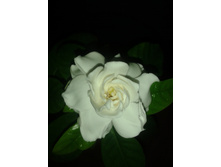 2017-09-18 19-09-56.JPG