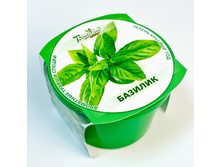 ������� 72 ���