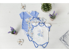 "�������� ���� 3 ����� ������: 100% ������" 30-183