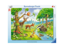 ���� "������ ��������" 30 ��