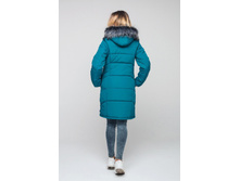 ������ �����