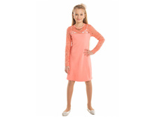 919 ������ "�������" 730�