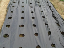 ��������. ��������� 60 ������ (������) ��� � ��������� - ����� 100 �. ����� 1,6 �. ������ - 1636,8 ���..jpg