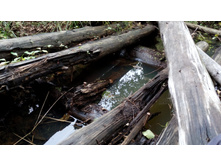 IMG 20171001 102518.jpg