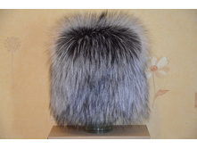 ������ ����������� ����.JPG