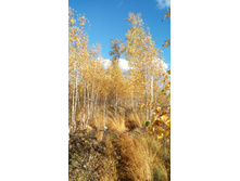 2017-10-08 14-47-31.JPG