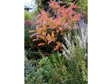 IMG 20171018 133856.jpg