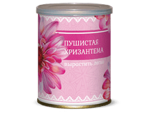 ������ � ����� ���������� 87 ���