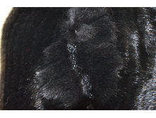 ���� ����� ���� (�����������).JPG