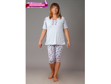 ��0019, 530���, 46-60��.