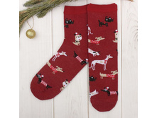 ����� ������� "������" 23-25 ��, 80% ��.,17% �/�, 3% ��. 54� �� 3 ���