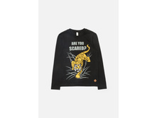 20110100111   Terni   ������(���).jpg