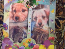 20171018 150805-1.jpg