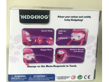 � ����.����