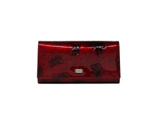 ������� Tosoco ����������� ���� B24-W06.JPG