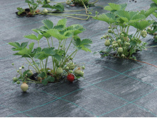 ��� ����� �������� ��� (��� �������, � ������� �� ���������).jpeg