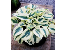 ���� ����(No3-8)