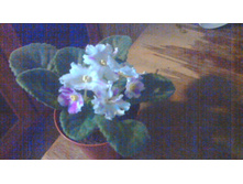 ���-�������-�����(������� 2016 �)