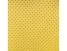 Holes Yellow.jpg