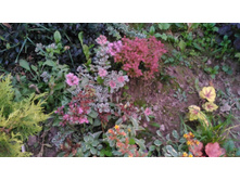 P 20170924 181340.jpg