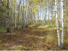 DSCN4474.JPG