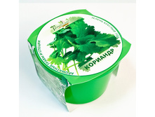 �������� 72 ���