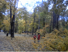 IMG 20130208 201345.jpg
