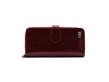 ������� Tosoco ����������� ���� B19-W04.jpg