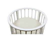 BAMBOLA ������ � ������� �������� ROUN HOLO+KOKOS 8 75*75*8 ���������� ���: ��000043635 �������: RHK-8 ���, �� 1,1 �����, �3 0,045 900 ���.