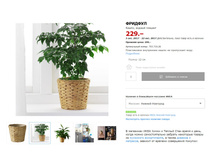 ������� 70371926.jpg