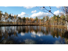 2017-10-08 13-40-44.JPG