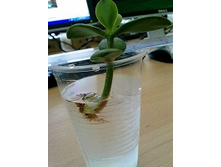 �������� ������.jpeg