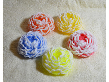 ���� ��������