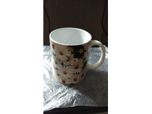 IMG 20171015 113944.jpg