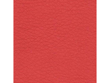 Holst Red.jpg