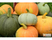 ����� ���� ����� ����� 6�� ��� ��� �-� 6,00 ���.. [���.15000147]