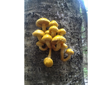 P 20170930 111932.jpg