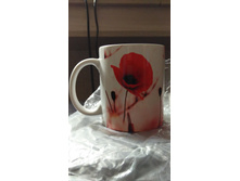 IMG 20171015 113000.jpg