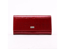 ������� Tosoco ����������� ���� B07-W06.jpg